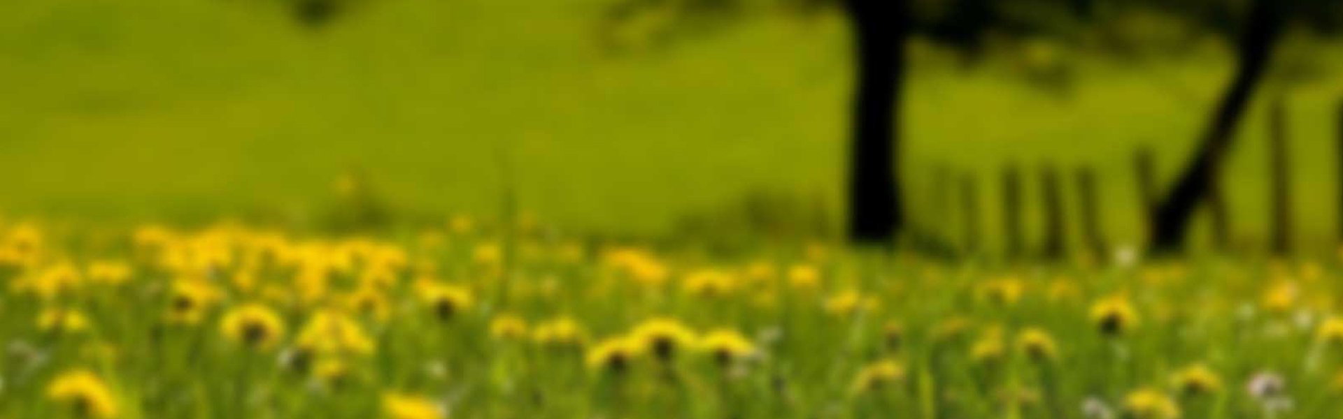 聚彩紛呈 聚彩紛呈